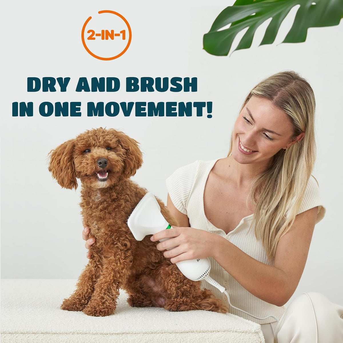 Drying and brushing a small dog in one movement